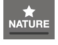Grade B - Nature